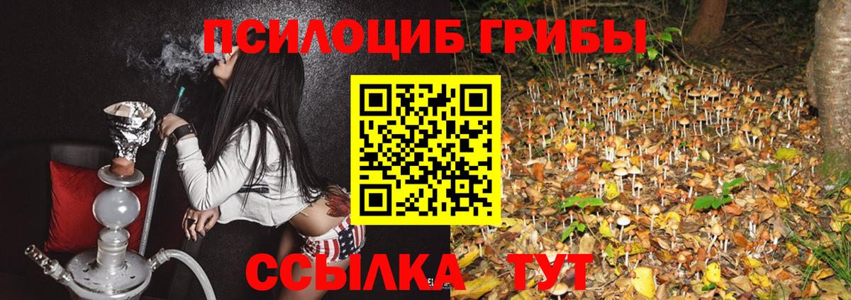 Псилоцибиновые грибы GOLDEN TEACHER Северск
