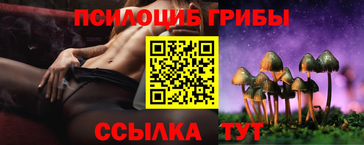 Галлюциногенные грибы Cubensis  Вход с VPN  даркнет сайт  Северск 