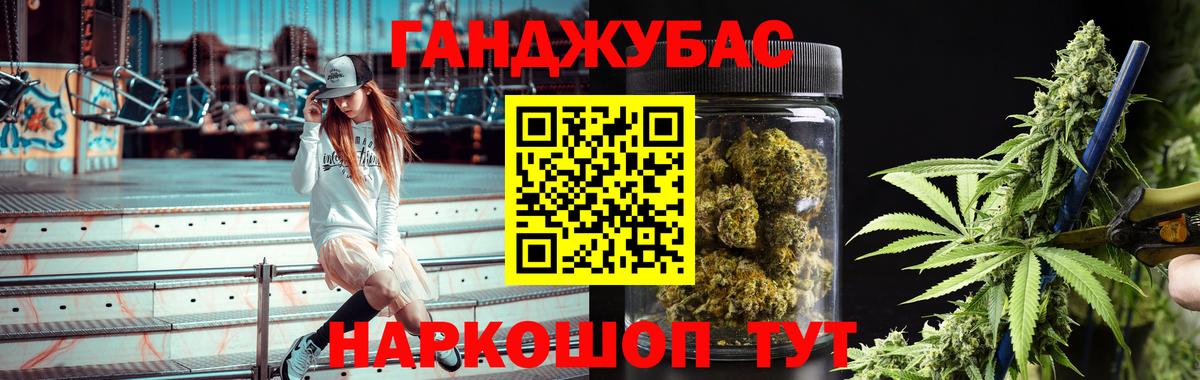 Бошки Шишки планчик Северск